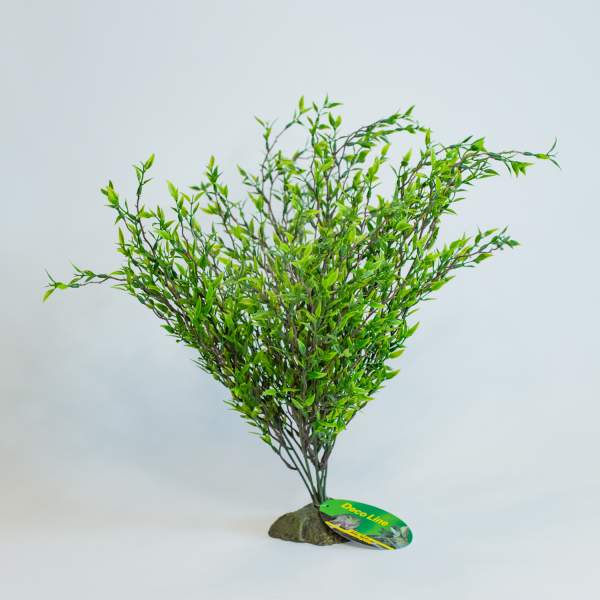 Preview: Lucky Reptile Kalahari-Busch groß (Terrarienpflanze)